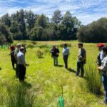 PANGUIPULLI REÚNE A  DELEGACIONES DE 14 PAÍSES DE LA RED LATINOAMERICANA DE BOSQUES MODELO.