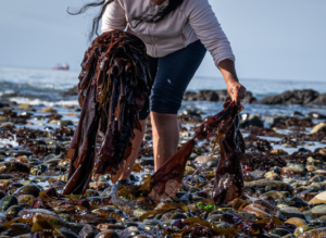 “Terricidio”, un relato visual del extractivismo que llega a Chiloé